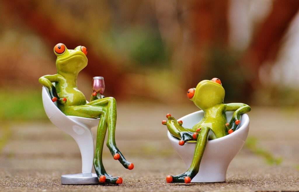 frog, chair, comfortable-1234571.jpg